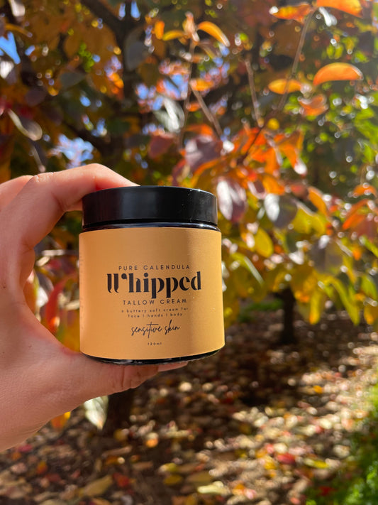 Berry Beautiful Whipped Tallow Cream - Calendula infused