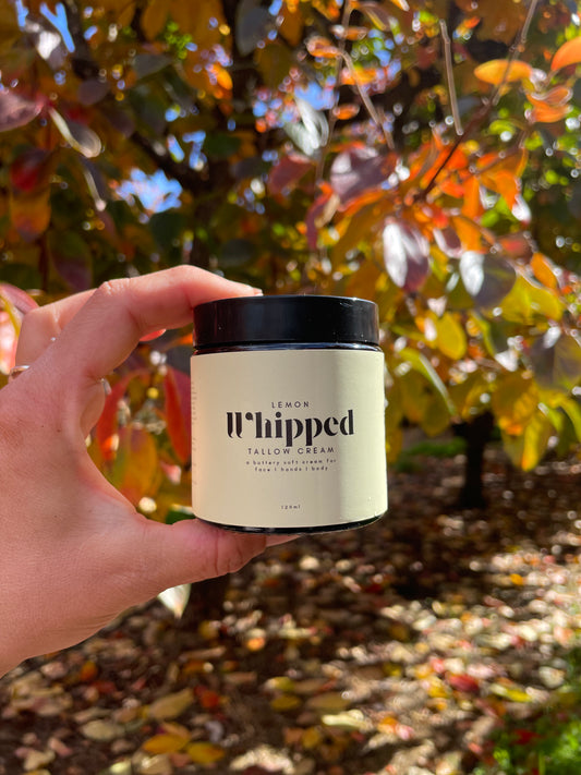 Berry Beautiful Whipped Tallow Cream - lemon