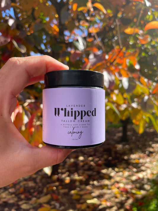 Berry Beautiful Whipped Tallow Cream - lavender